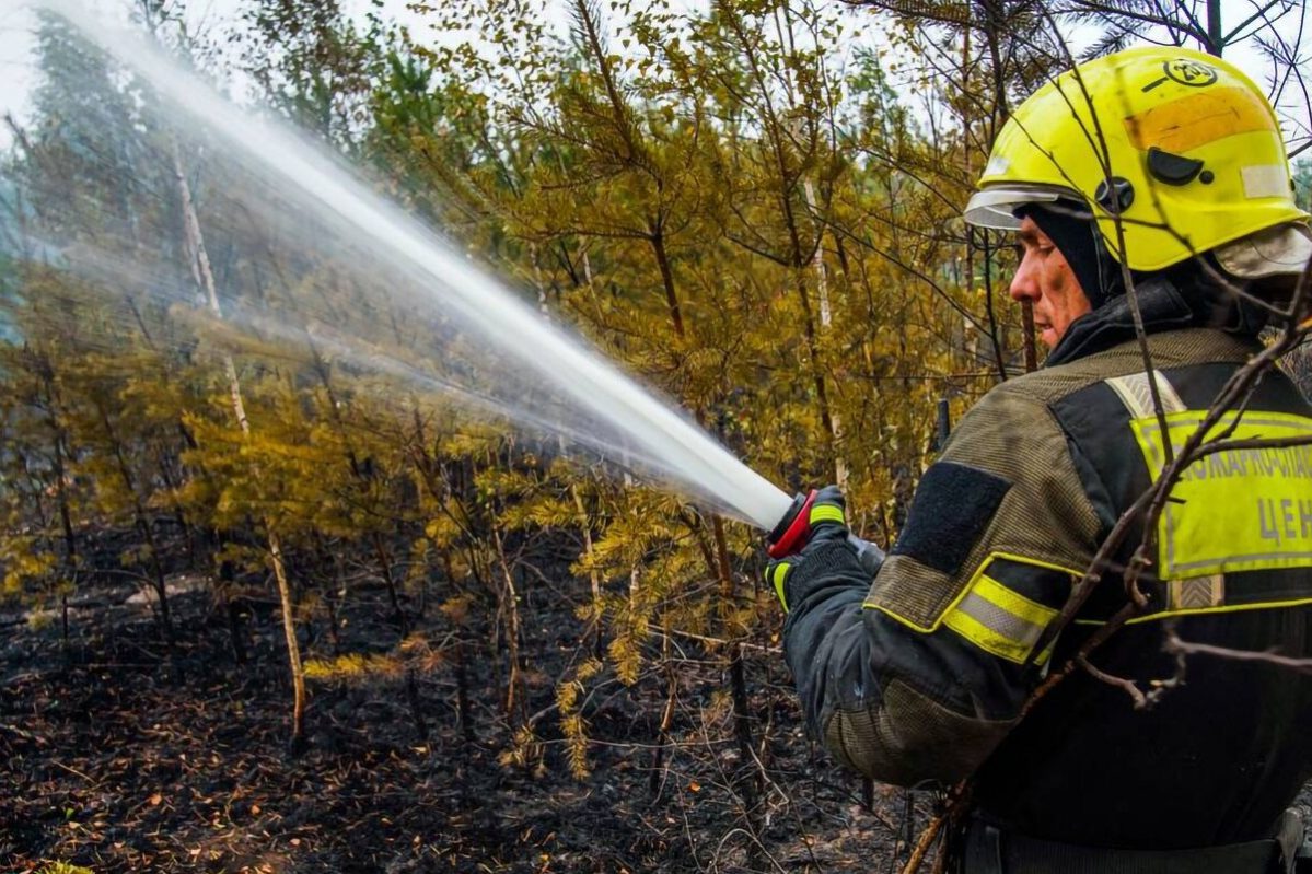 Собянин лично проинспектировал работу московских спасателей при тушении пожаров в Рязанской области :: Регионы :: Дни.ру