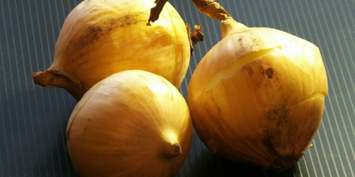 Луковичка на зиму. Готовим маринованный и жареный лук длительного хранения | Продукты и напитки | Кухня