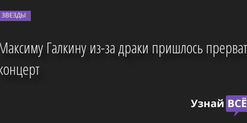 Максиму Галкину из-за драки пришлось прервать концерт 08.08.2022 | Звезды, шоу-бизнес