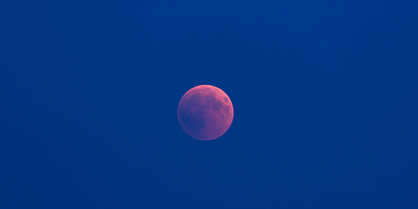 гороскоп мужской, женский, для всех знаков зодиака, астролог Лилия Любимова :: Автор Лилия Любимова :: Дни.ру