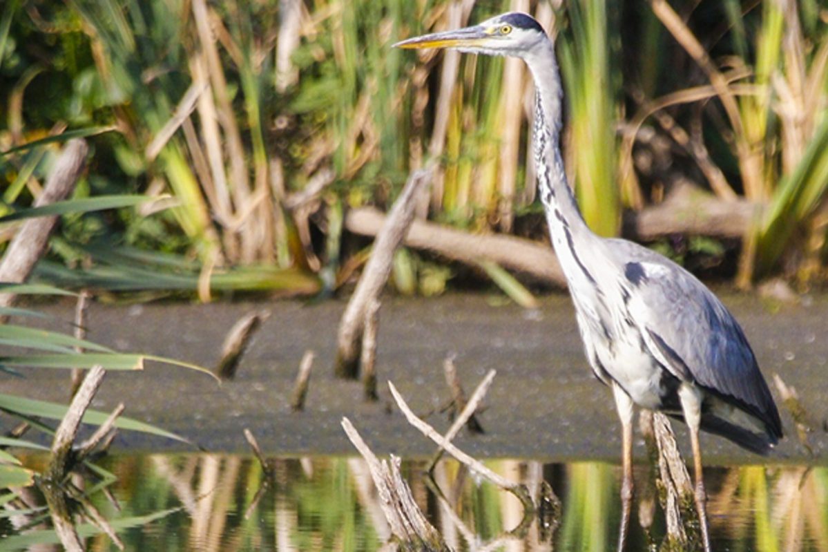 : Мой район :: Дни.ру