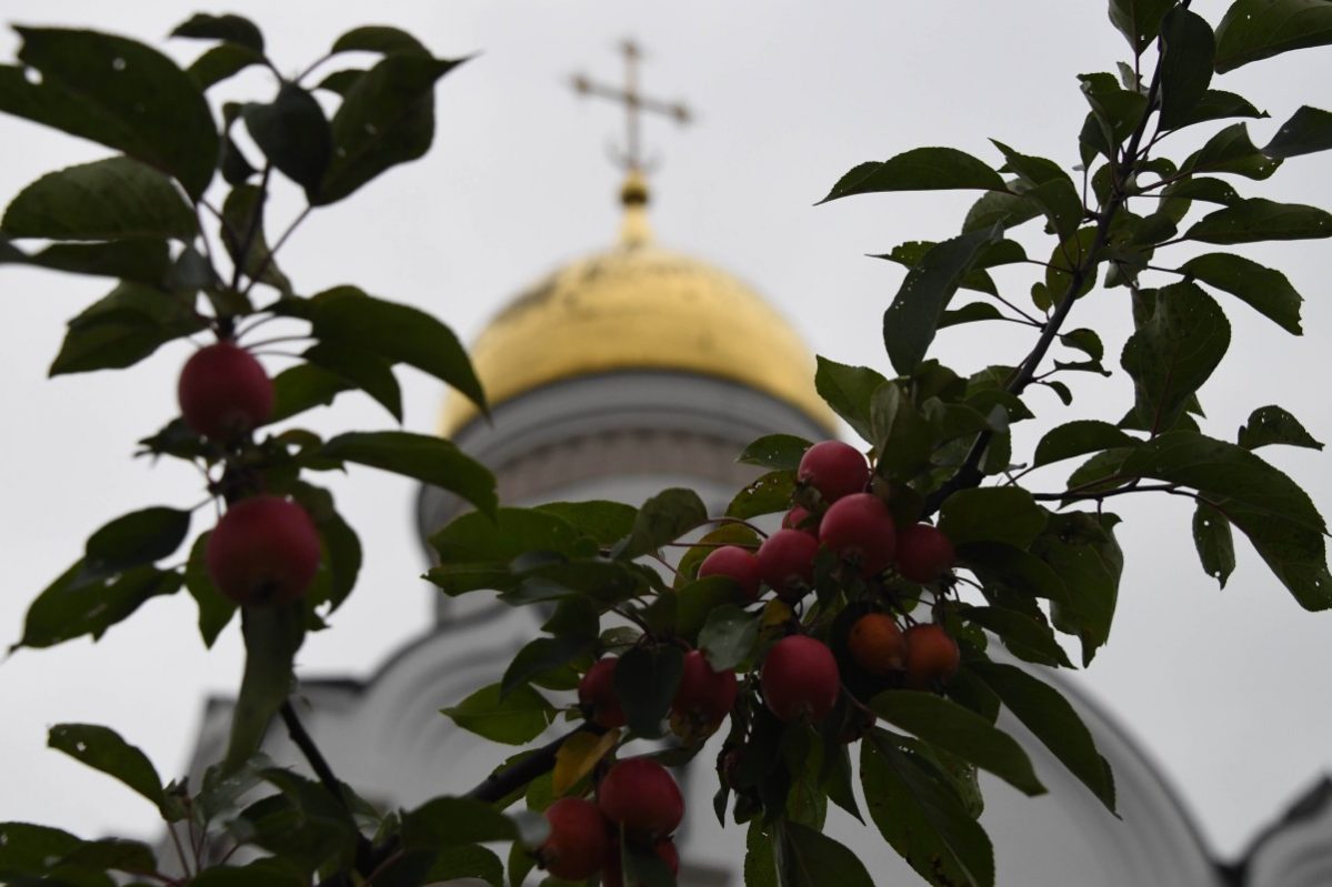 как отмечают праздник 24 сентября 2022 года, народный календарь, подробности, последние новости, 2022, православный праздник, календарь, святая Феодора :: Общество :: Дни.ру