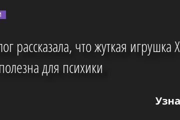 Психолог рассказала, что жуткая игрушка Хагги Вагги полезна для психики 29.09.2022 | Новости в России