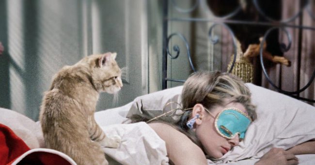 Нарушения сна у взрослых: причины, симптомы, лечения — Будь здорова!