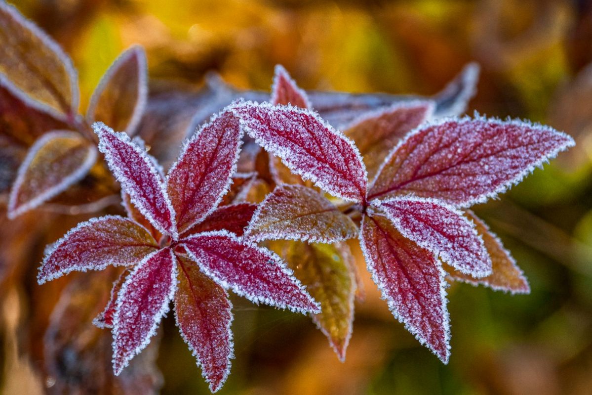 Иванов день 1 ноября: что нельзя делать в церковный праздник, народный календарь, 2022, :: Общество :: Дни.ру