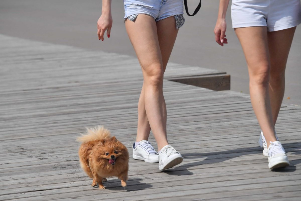 Лазерная эпиляция: шесть мифов о процедуре, которым не стоит верить