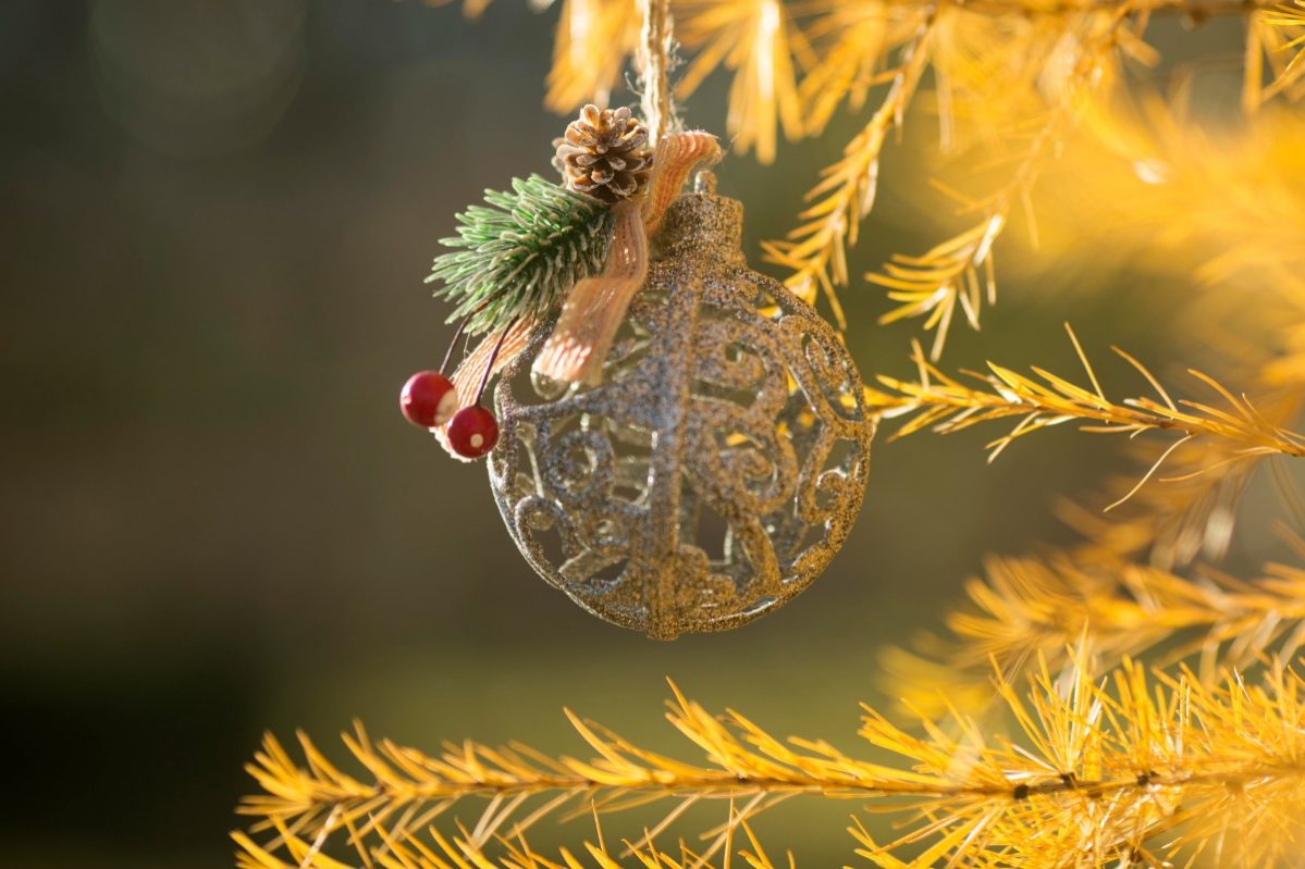 Анна Холодная, народные приметы в праздник 16 ноября, подробности, последние новости, 2022 :: Общество :: Дни.ру