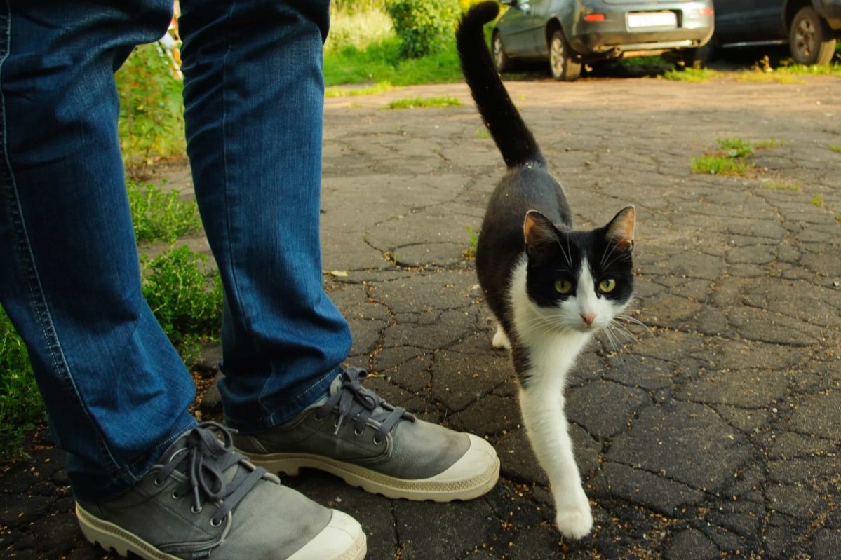 7 способов справиться со стрессом после тяжелого дня – психология, медитации, Перукуа :: Автор Перукуа :: Дни.ру