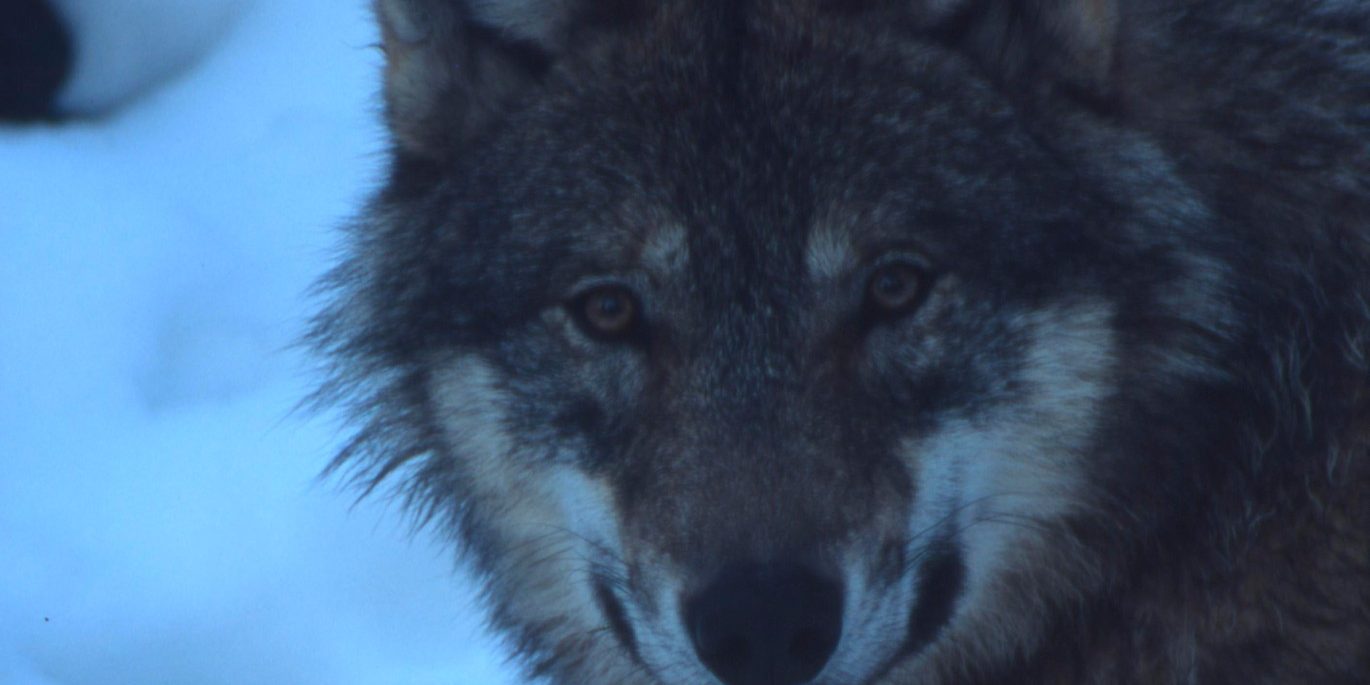 Филипповка, что нельзя делать в праздник 27 ноября, подробности, последние новости, 2022 :: Общество :: Дни.ру