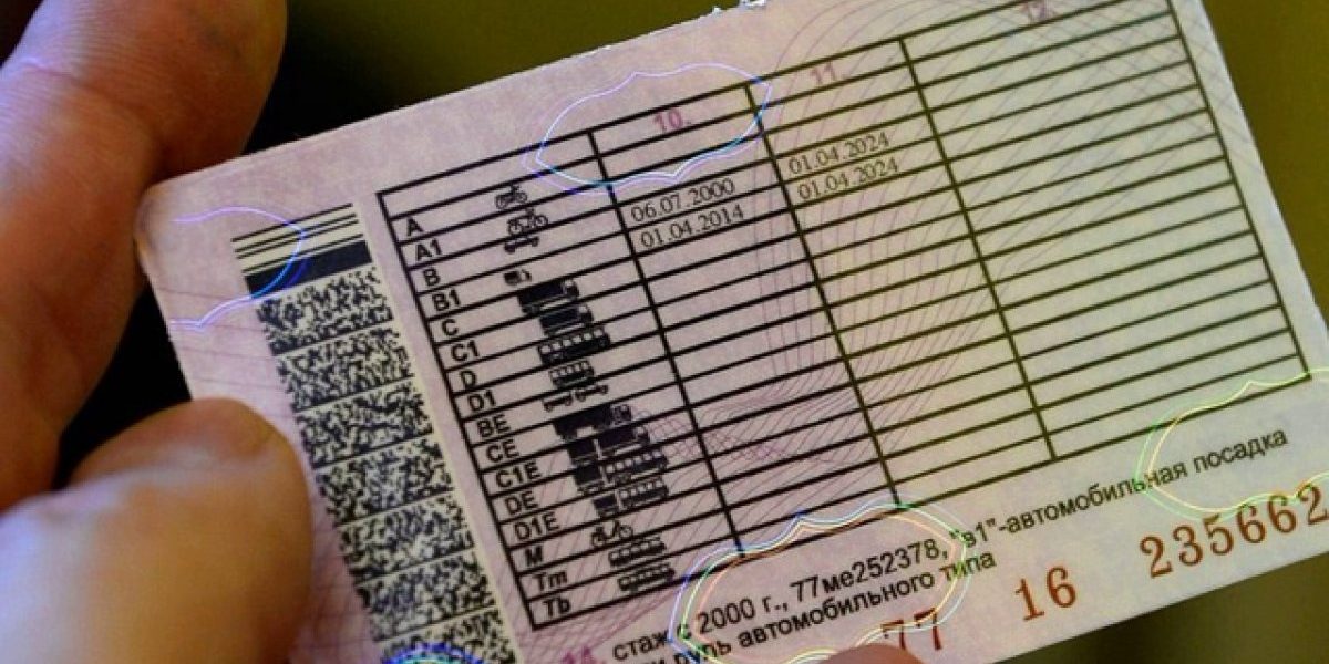 В России утвердили правила выдачи водительских прав для новых регионах | Общество