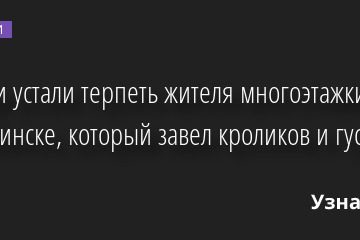 Соседи устали терпеть жителя многоэтажки в Челябинске, который завел кроликов и гусей 30.01.2023 | Новости в России
