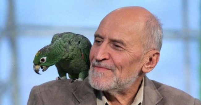 «Можно ехать домой»: сломавшего семь ребер Дроздова выписали из больницы — Звезды
