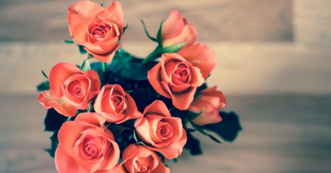 Розы любят водку: как продлить жизнь букетам — Дом