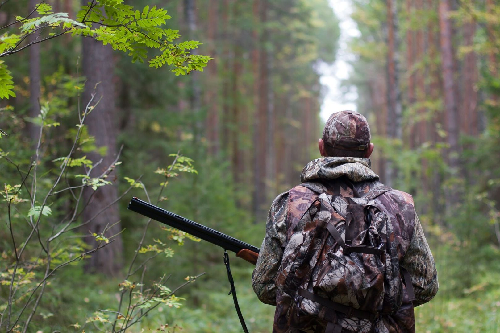 В Челябинской области егерь подстрелил на охоте школьницу 12.01.2024 |