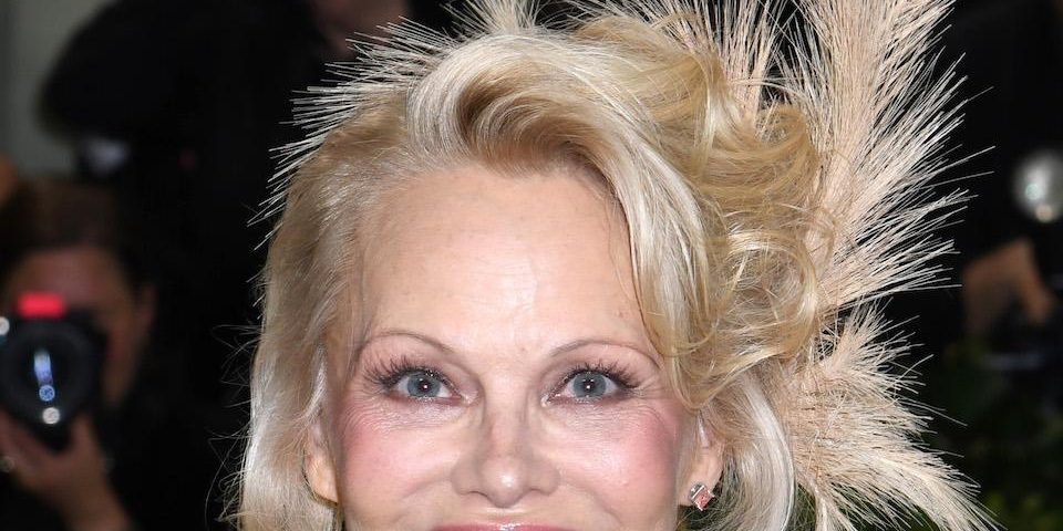 в Сети обсуждают внешний вид Памелы Андерсон