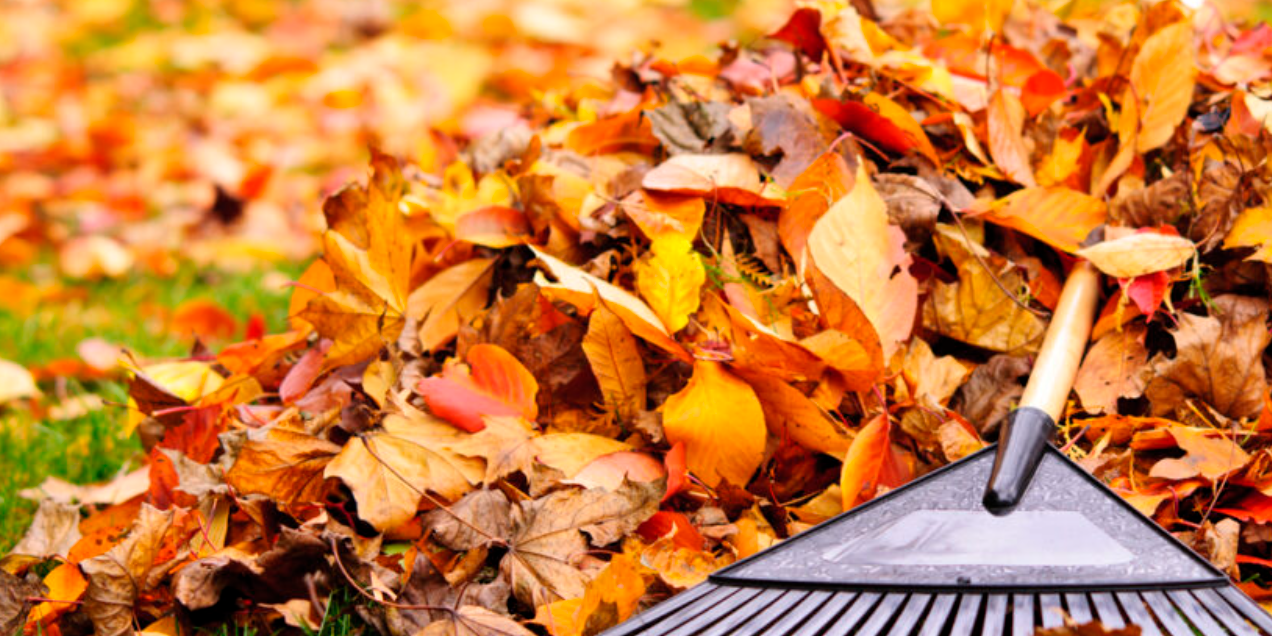 что успеть сделать перед холодами