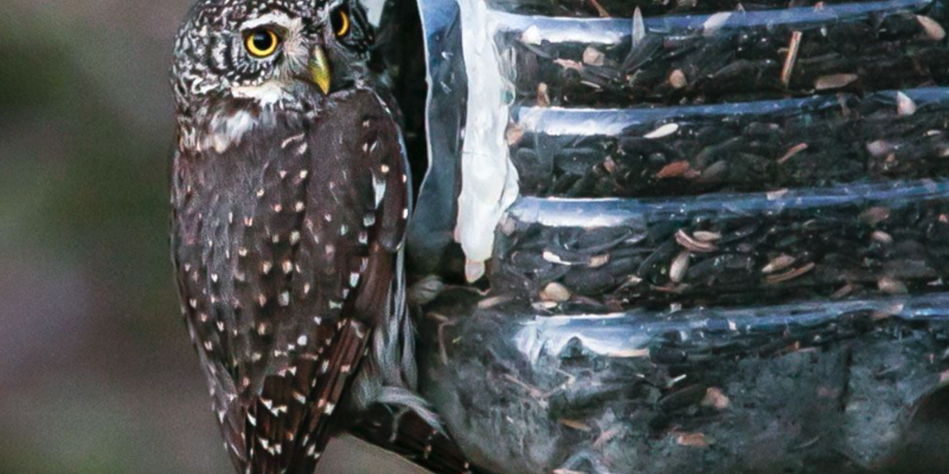 Красная книга Москвы помогла повысить интерес горожан к столичной природе