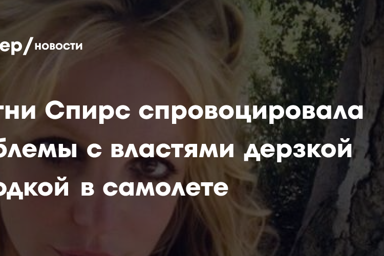 У Бритни Спирс возникли проблемы с законом из-за употребления спиртного в самолете