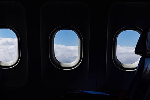 Пассажирка напала на певца Глызина в самолете и задержала рейс