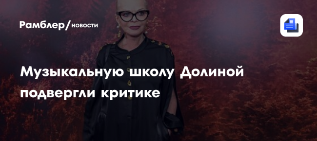 Музыкальную школу Долиной подвергли критике