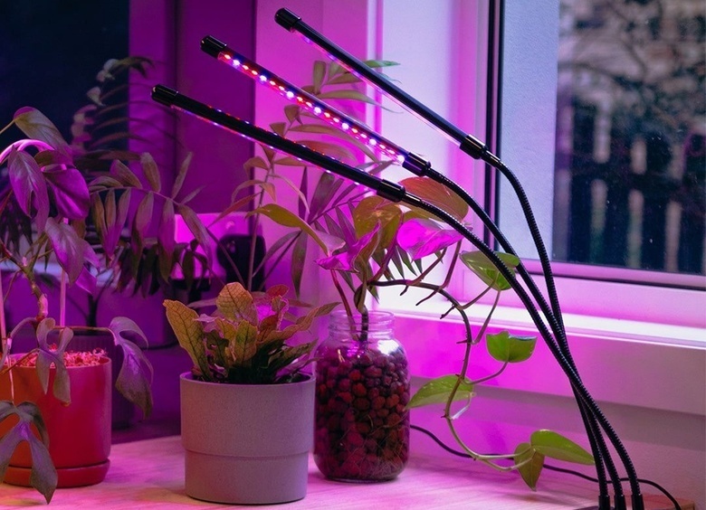 Свет вместо солнца: как выбрать фитолампу и не ошибиться