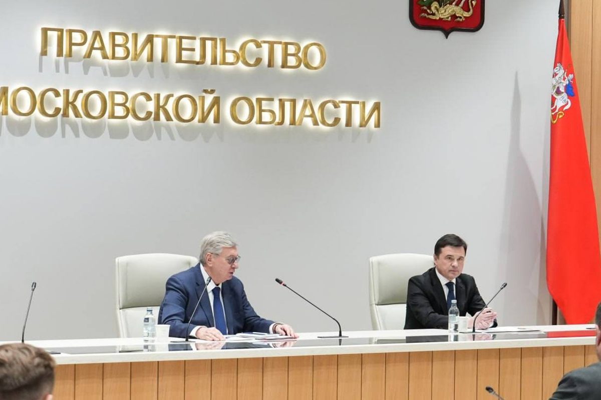 общественники Подмосковья задают стандарты волонтерской работы :: Общество :: Дни.ру