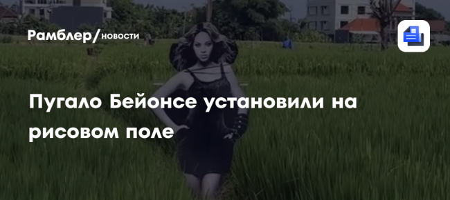 В Индонезии фермер установил пугало в виде Бейонсе для защиты