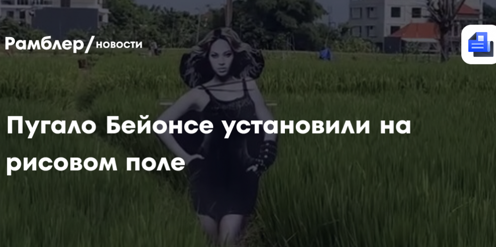 В Индонезии фермер установил пугало в виде Бейонсе для защиты