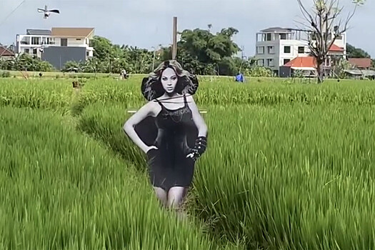Пугало Бейонсе установили на рисовом поле