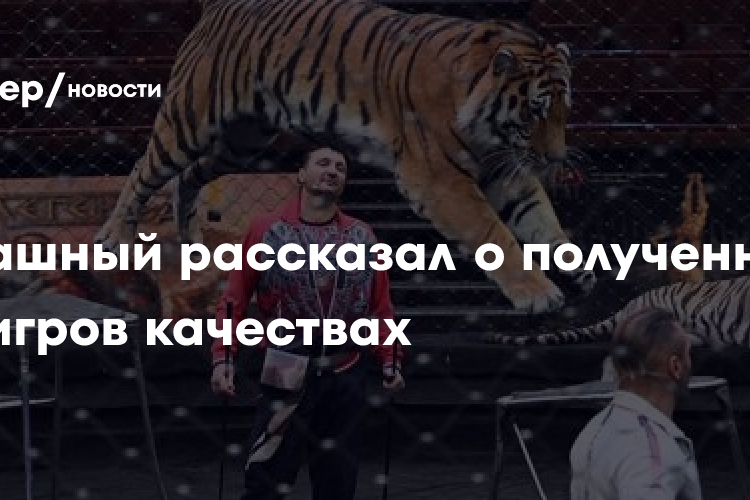 Запашный рассказал о полученных от тигров качествах