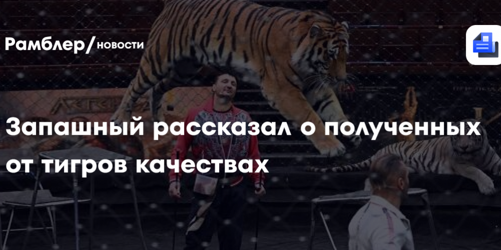 Запашный рассказал о полученных от тигров качествах