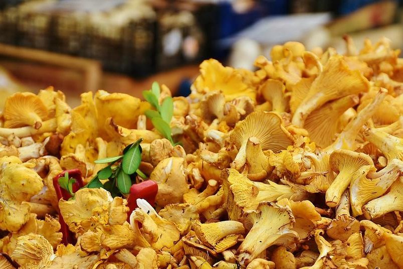 Как пожарить грибы, чтобы точно было вкусно — Дом